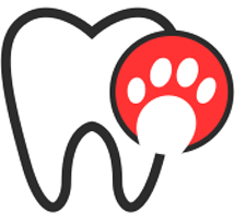 Dental-checkup-and-procedures-icon