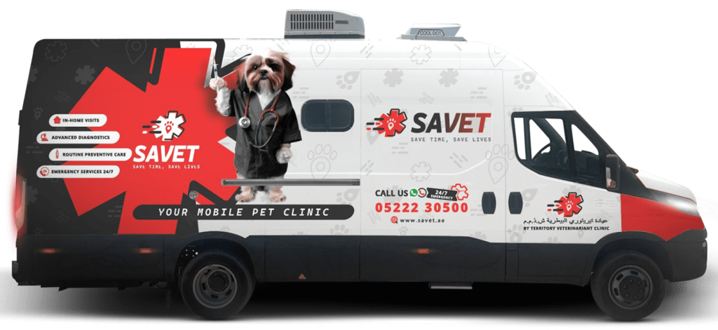 SAVET-Car